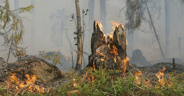 Incendis a Vallbona de les Monges